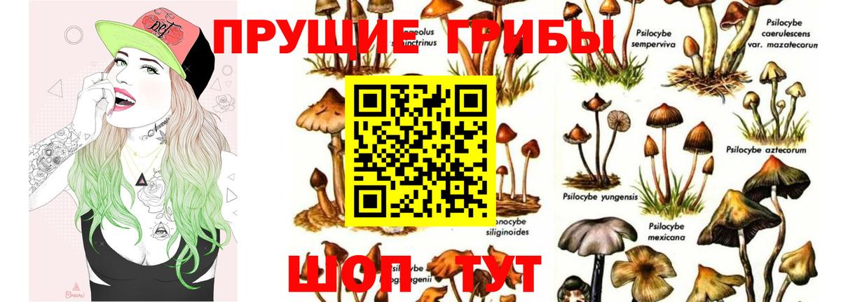 Заринск  Галлюциногенные грибы Psilocybe  Псилоцибиновые грибы мицелий  Вход с VPN 