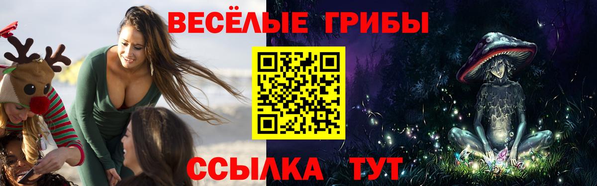 Галлюциногенные грибы Psilocybine cubensis Заринск